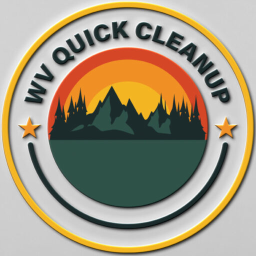 WV Quick Cleanup!